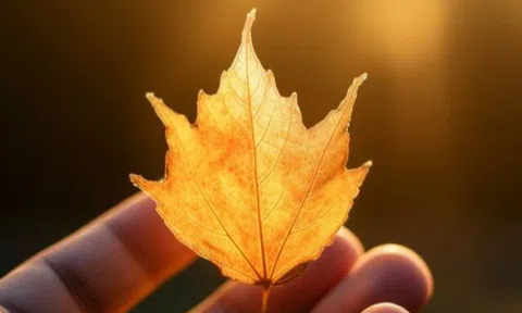 3 kiểu người "đẳng cấp" đứng sau những trang cá nhân trống trơn: Không phải cố ẩn mình, mà bởi nội tâm quá vững vàng