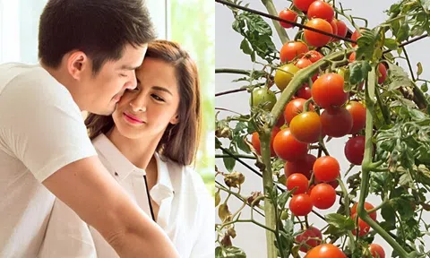 10 loại thực phẩm chồng nên ăn khi chuẩn bị cùng vợ tìm con: Món số 9 bán đầy chợ Việt, được ưa chuộng