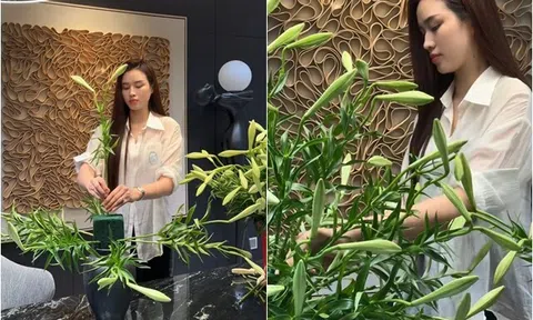 Hoa hậu Đỗ Thị Hà khoe clip cắm loài hoa tinh khôi gọi tháng 4 về, dân mạng nổ tranh cãi vì một cái tên