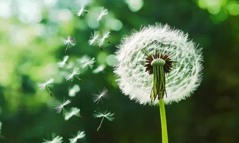 Người có phẩm chất kém thường "cửa miệng" 3 câu này: Gặp phải chớ kết thân