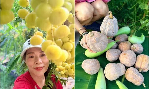 Mãn nhãn khu vườn "vàng ròng" của ca sĩ Mỹ Lệ: Bí hồ lô sai trĩu, đủ loại trái chín lủng lẳng khắp lối đi