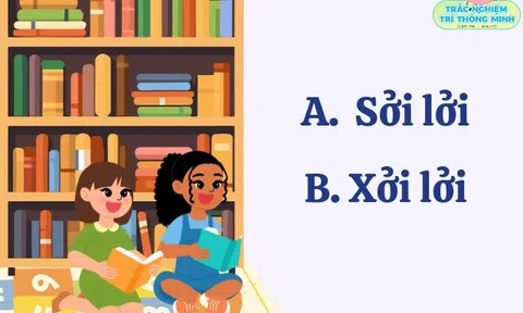 Cặp từ tiếng Việt không khó nhưng nhiều học sinh giỏi vẫn sai: Sởi lởi hay xởi lởi đúng chính tả?