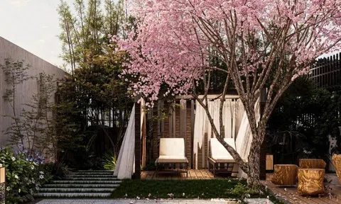 Người xưa dặn: Sân có một trong 11 cây này, nhà nghèo mấy cũng đổi vận, càng trồng càng tụ lộc, càng sống càng có phúc