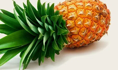 Mua dứa, lấy quả to hay nhỏ thì ngon ngọt, nhiều người không biết nên chọn sai, bảo sao dứa chua khó ăn