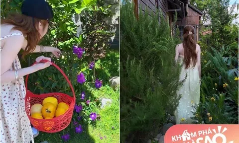 Cận cảnh cơ ngơi đẹp như tranh của Elly Trần, người đẹp tự nhận là "phù thủy" sống độc thân trong ngôi nhà gỗ