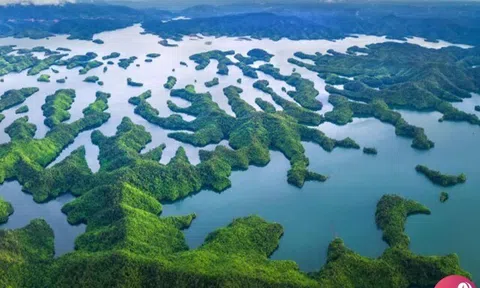 Tà Đùng, nơi mặt nước ôm trọn trời mây, giữ lại một Tây Nguyên nguyên sơ đến lặng người.