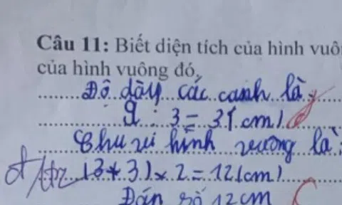 Học sinh lớp 3 làm toán (3 + 3) x 2 = 12 bị cô gạch sai, mẹ lên mạng thắc mắc làm bùng nổ tranh cãi