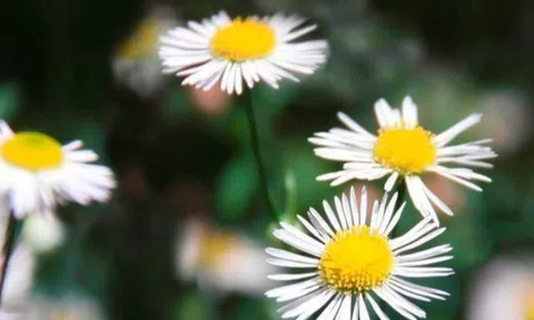 Vượt qua được điều này, bạn sẽ chiến thắng!