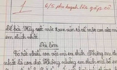 Bé tiểu học viết văn tả con vật yêu thích, cô giáo đọc xong liền mời phụ huynh đến trường