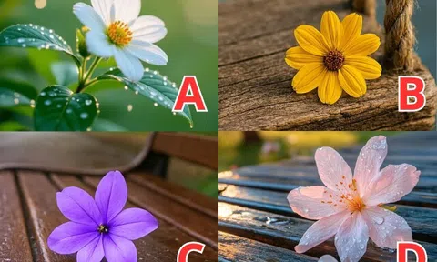 Bạn sẽ có con vào thời điểm nào? Chọn một bông hoa theo trực giác để có câu trả lời