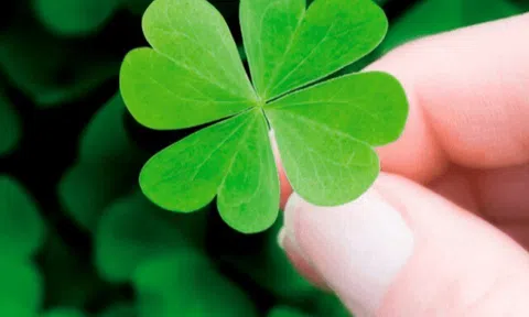 Trắc nghiệm: Bạn có sở hữu những dấu hiệu của "người may mắn”?