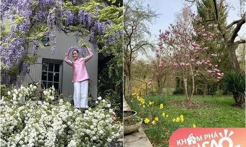 Cơ ngơi 4.000m2 đẹp như tranh vẽ của nghệ sĩ Lê Vi, khu vườn xinh muôn sắc màu chẳng khác nào cổ tích