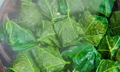 Món "nhà nghèo" xưa ăn đến chán ngán, nay thành đặc sản khoái khẩu nhiều người ưa chuộng, tốt cho sức khoẻ