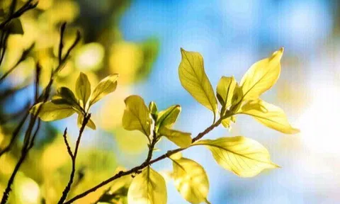 Cách đúng nhất để thoát khỏi cảnh nghèo: Hãy làm ngược lại với số đông