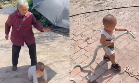 Ông bà "khóc mếu" khi đón các cháu về quê ăn Lễ, mới vài ngày đã đòi trả về nơi sản xuất