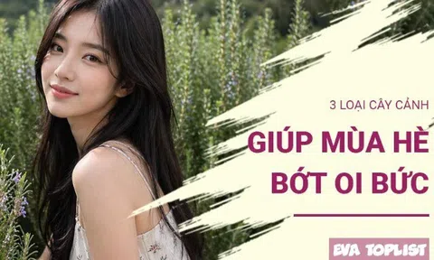 Trồng ngay 3 loại cây này, không gian sống dịu mát hơn trong những ngày nắng nóng