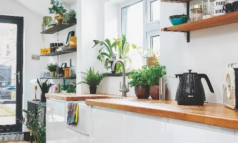 Bếp là “kho tài lộc” của gia đình, đặt ngay 1 trong 12 loại cây này để hút may mắn, tiền vào như nước!