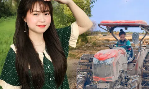 Gặp cô gái 2K6 chấp nhận "chân lấm tay bùn", mỗi ngày ra đồng lái máy cày: Nhìn cha mẹ cực khổ, em càng cố gắng...