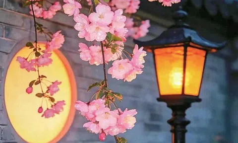 Người có phúc thường "thiếu" 3 thứ này: Càng ít tính toán, cuộc đời càng nở hoa