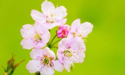 Một người có trân trọng bạn hay không, chỉ cần nhìn chi tiết này là đủ