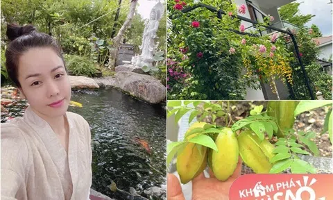 Hoa trái từng chùm và quang cảnh tuyệt đẹp trong khu vườn ở biệt thự 20 tỷ của nữ Chủ tịch Nhật Kim Anh