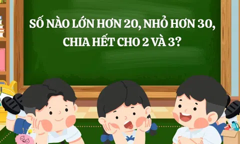 10 câu đố Toán học "hack não", nếu giải được trong 1 phút bạn lọt top người thông minh nhất