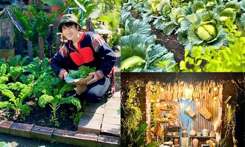 Chỉ tốn vài chục nghìn đồng, chàng hotboy dân tộc biến 576m² đất trống thành khu vườn sum suê, rau củ ăn hoài không hết
