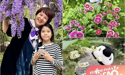 Cơ ngơi nghỉ dưỡng xinh đẹp của MC Diễm Quỳnh tràn ngập hoa từ quen đến lạ, bé Gà sống trong "tuổi thơ màu lá"