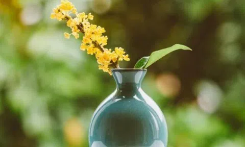 Quan hệ thân đến mấy cũng chớ làm 2 điều với người nhà: Không phải vô tâm mà là rất khôn ngoan!