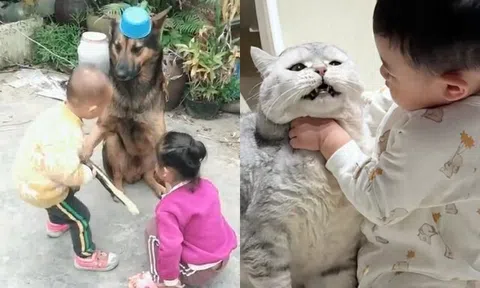 Cười ra nước mắt với 1001 kiếp nạn của "khối trông nhà" khi chăm "khối nghỉ hè"