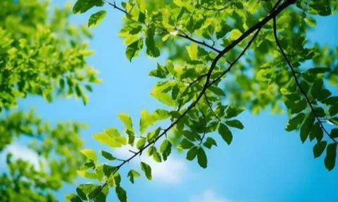 4 thói quen giúp một người ngày càng tinh tế, thanh lịch hơn theo thời gian
