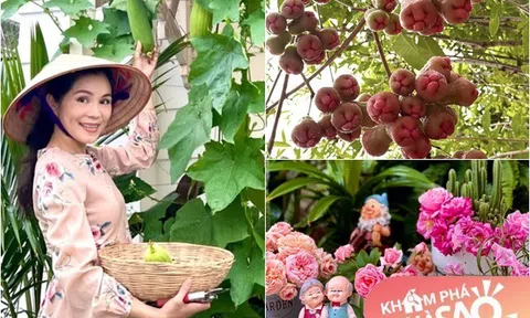 Vợ đẹp giỏi giang của Quyền Linh khoe vườn sân thượng tuyệt đẹp, truyền tình yêu hoa hồng cho nữ ca sĩ nổi tiếng