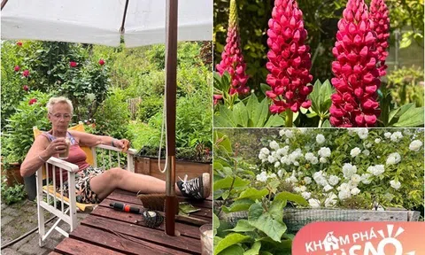 Khu vườn gần 300m2 của bố mẹ chồng ca sĩ Thu Phượng ở Hà Lan, ngập tràn hoa tuyệt đẹp