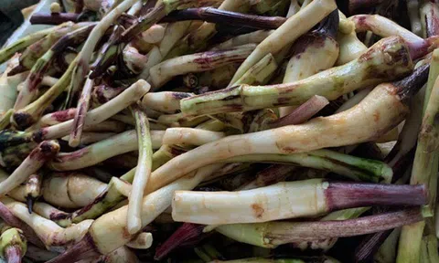 Món nhà nghèo xưa ăn đến chán ngán, nay thành đặc sản nổi tiếng ở thành phố giá 70.000 đ/kg, tốt cho sức khoẻ