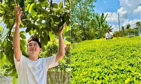 Choáng ngợp khu vườn "đại gia" rộng 3.000m2 ngập tràn quả ngọt tại miền Tây của nam thần màn ảnh Việt