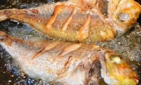 Rán cá, thử vắt thêm vài giọt rẻ tiền này vào chảo, cá giòn đều toàn thân, lại đỡ hẳn mùi tanh
