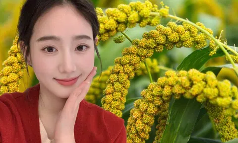 Loại hạt nhỏ xíu được ví như "ngũ cốc vàng": Ăn đều giúp giữ dáng, trẻ lâu, da đẹp thấy rõ