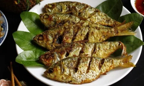 Loại cá chợ Việt bán giá bình dân nhưng lại “tốt nhất thế giới”, omega-3 vượt xa cá hồi, thơm ngon bé nào cũng mê