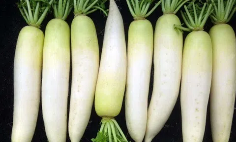 Củ cải mua về chỉ 2-3 ngày là hỏng, nhét ngay vào chỗ lạ lùng này, củ cải tươi lâu không lo thối hay mềm nhũn