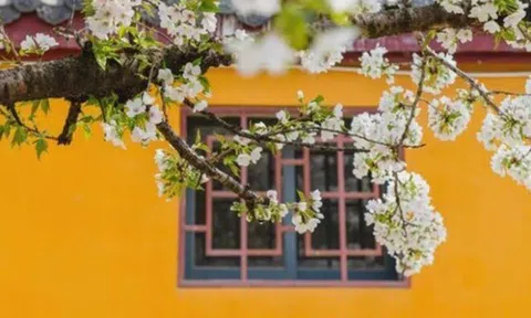 Người khi ăn luôn giữ 3 thói quen này, nếu gặp được hãy trân trọng suốt đời