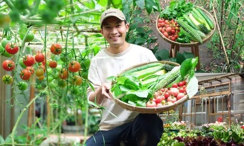 Sang Nhật Bản du học, chàng trai Gia Lai biến khu đất sau nhà thành vườn rau củ xanh mướt, mang đậm sắc Việt