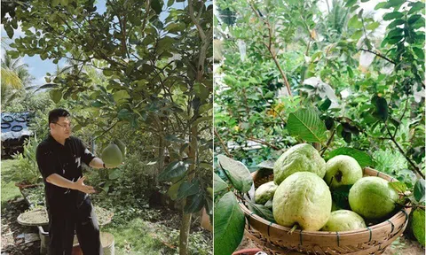 Nhà thiết kế có mẹ là cựu hiệu trưởng khoe khu vườn 1.000m2 xanh mướt của gia đình, đến trái còn có đôi