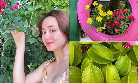 Giữa thời tiết nóng như đổ lửa, Vy Oanh khoe khu vườn xanh mát tại cơ ngơi nghìn m2, thu hoạch trái cả rổ đầy