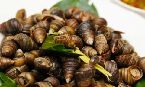 Luộc ốc cứ quắt thịt lại không sạch, đầu bếp mách cho thìa cực chua này vào, con nào cũng mẩy, giòn ngon thơm nức
