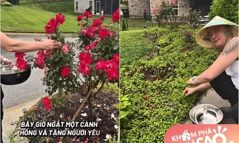 Cao Thái Sơn đội nón ra vườn hái rau, ngắt hồng tặng "người yêu" giữa khung cảnh tuyệt đẹp trước biệt thự 500m2 trên đồi