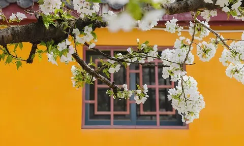Hai người thực sự dẫn dắt bạn trong đời: Một người sưởi ấm, một người thức tỉnh