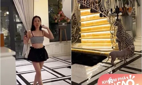 Trầm trồ với biệt thự 200 tỷ của Lệ Quyên, có bảo vệ riêng: Cầu thang dát vàng, đèn pha lê tiền tỷ xa hoa