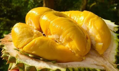 Mua sầu riêng, lấy quả có gai nhiều hay ít, người bán mách chiêu cực hay, 10 quả ngon như 10