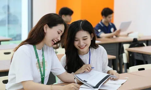 Ngành học dễ xin việc ở Việt Nam và quốc tế,  ra trường "hái ra tiền", không lo thất nghiệp những năm tới