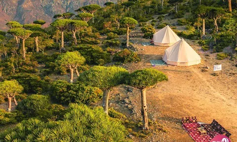 Bị lãng quên giữa đại dương, Socotra lại sở hữu vẻ đẹp khiến thế giới phải ngỡ ngàng.